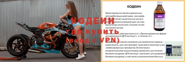 хмурый Михайловск