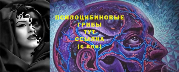 соль ск Михайлов