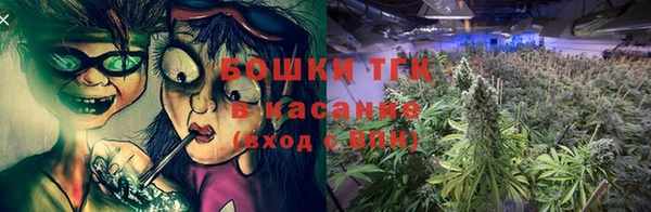 хмурый Михайловск