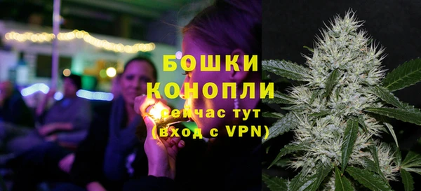 соль ск Михайлов