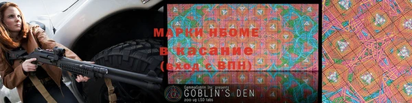 хмурый Михайловск