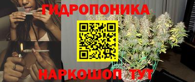 крисы Волжский