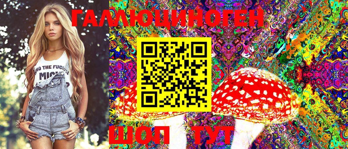 Псилоцибиновые грибы Cubensis Дмитров