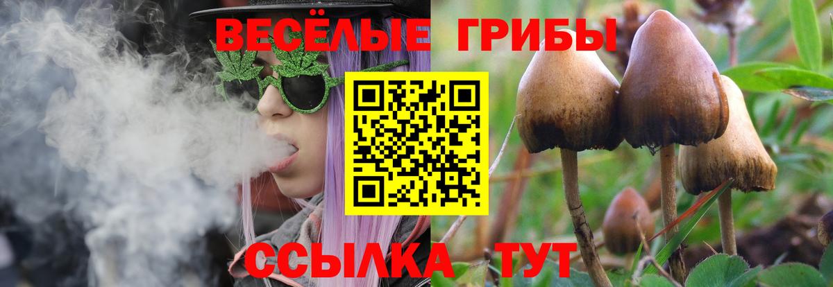 Псилоцибиновые грибы Cubensis  Вход с VPN  Дмитров 