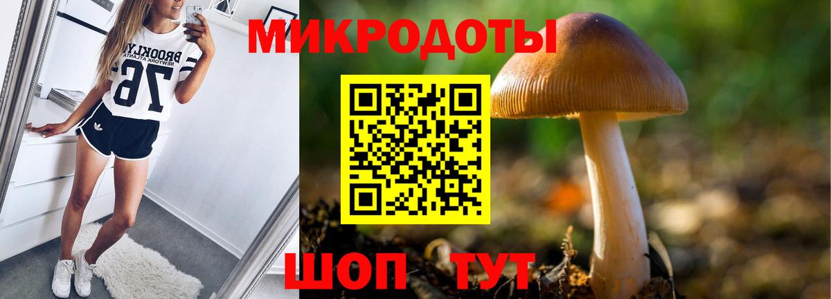 Псилоцибиновые грибы Psilocybine cubensis  Дмитров 
